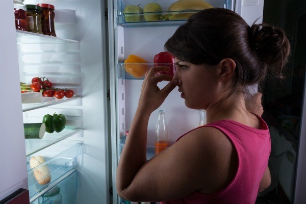 Free your fridge from bad odours. The natural ways.