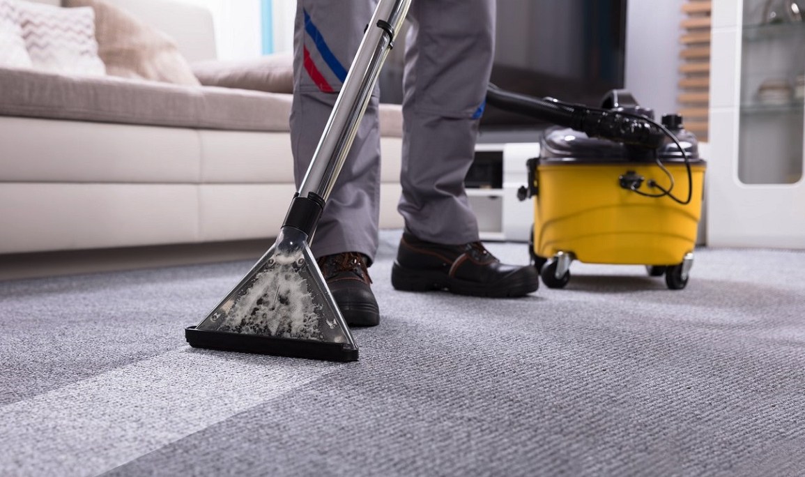 A cleaning guide for bed bugs and living room carpets