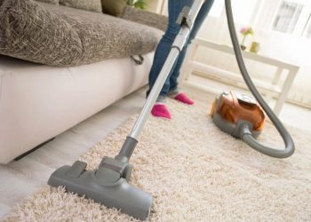 How to easily remove pet hair from the carpet
