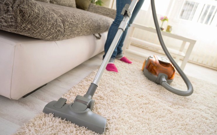 Easy ways of removing pet hair from the living room carpet