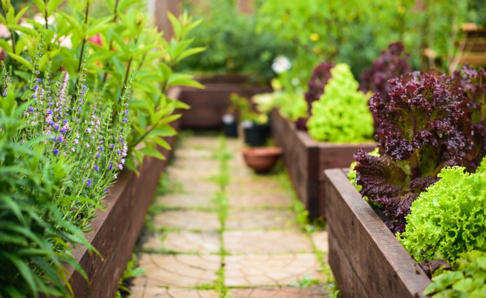 Raised flower beds – what you need to know