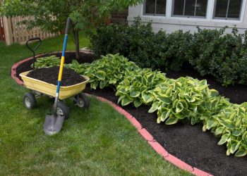 When should we consider putting mulch in the garden
