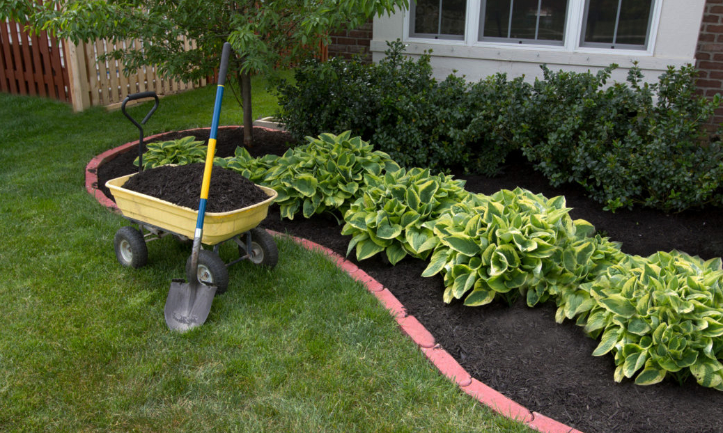 Signs we should consider mulch for the garden