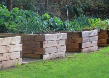 Raised vegetable gardens and how to achieve them