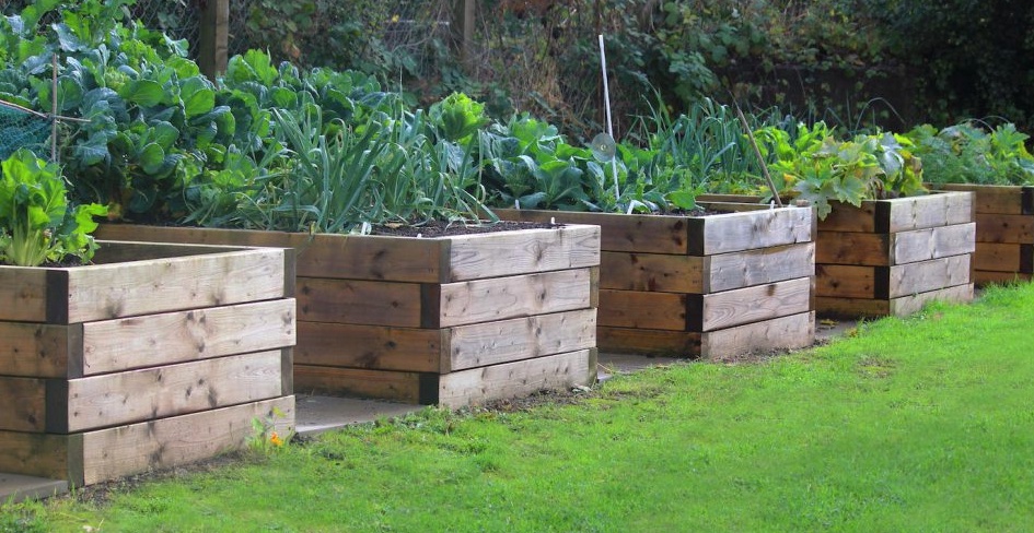 The story of a raised vegetable garden – how to achieve it